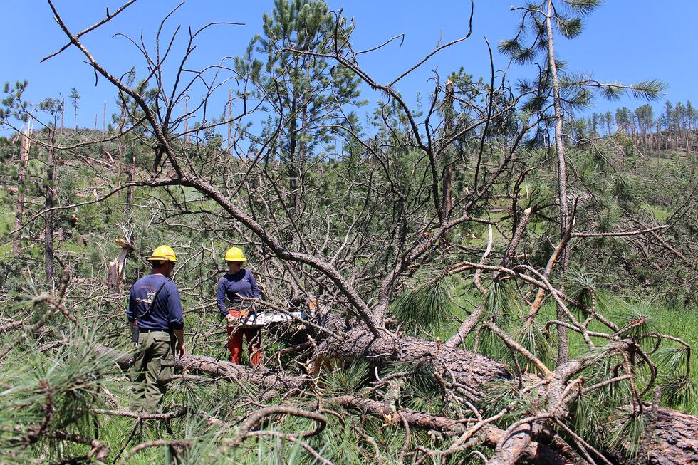 Forest Service officials continue to evaluate the impacts of a tornado that touched down on...
