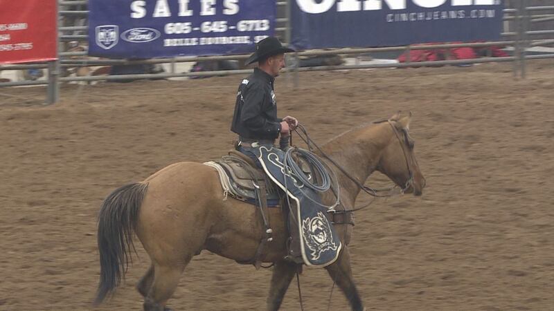 Broncs in the Black Hills