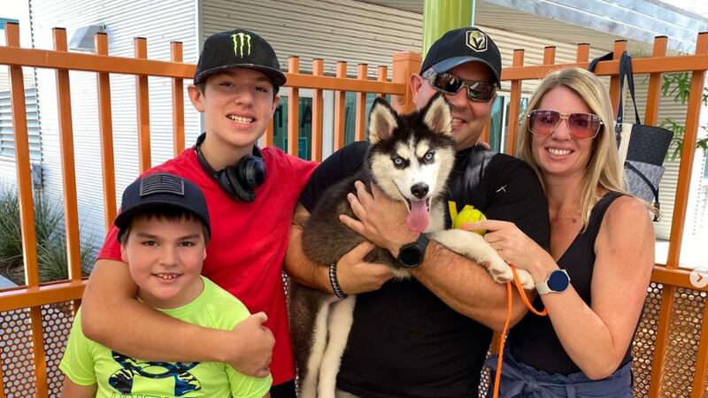 The dog who was rescued from a hot car at a Las Vegas casino has found a forever home.