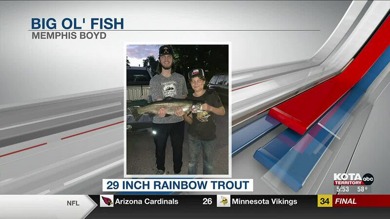 10-31 fish