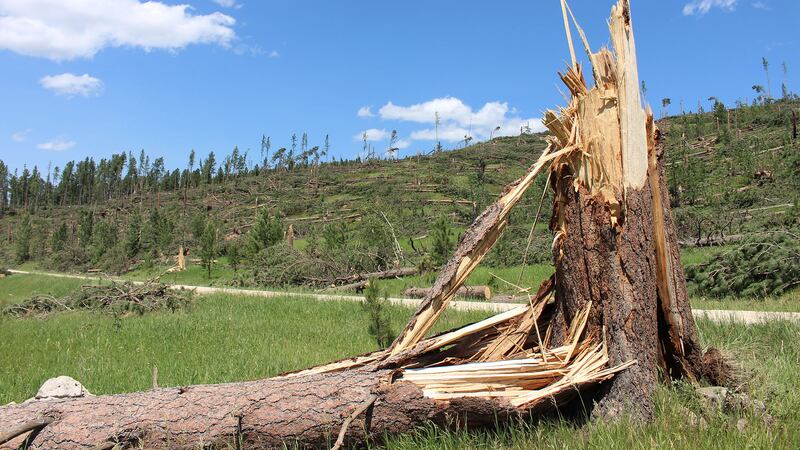 Forest Service officials continue to evaluate the impacts of a tornado that touched down on...