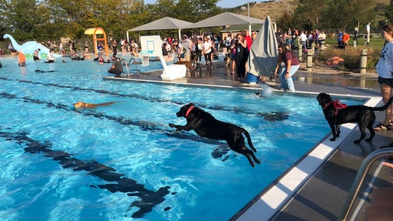 Jimmy Hilton Pool