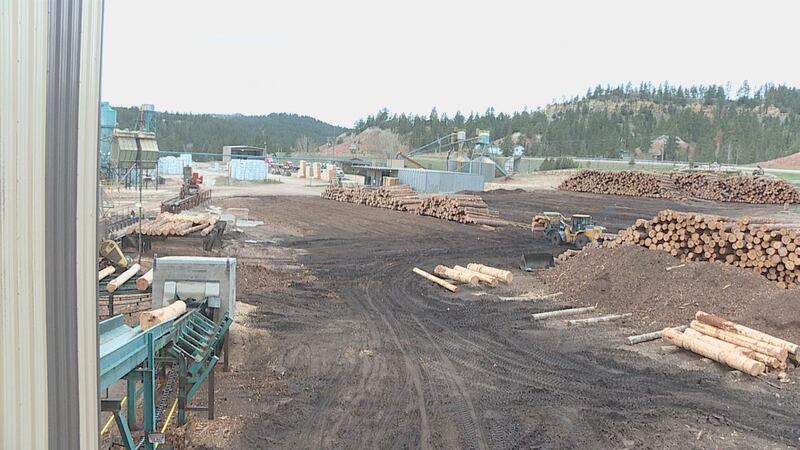 Neiman Enterprises sawmill file photo