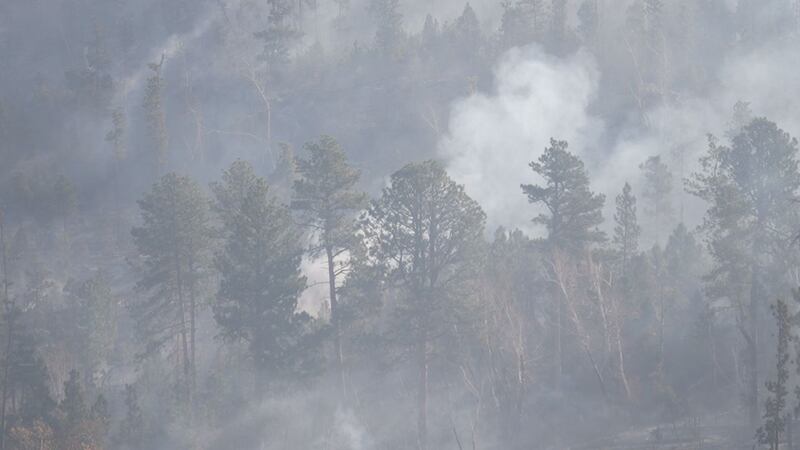 Wildfires are destructive forces, but they can also help balance the ecosystem.